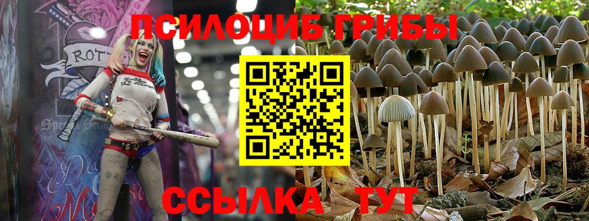Псилоцибиновые грибы MAGIC MUSHROOMS Брянск